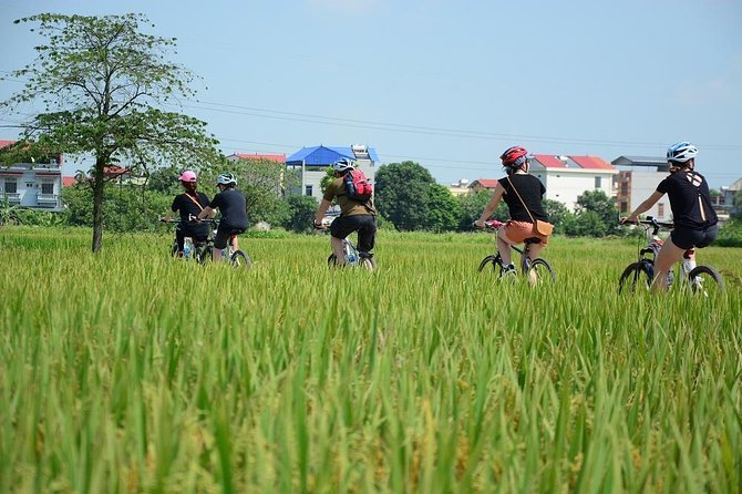 Hanoi Cycling Day Tour Chem Tay Tuu Dong Ngac